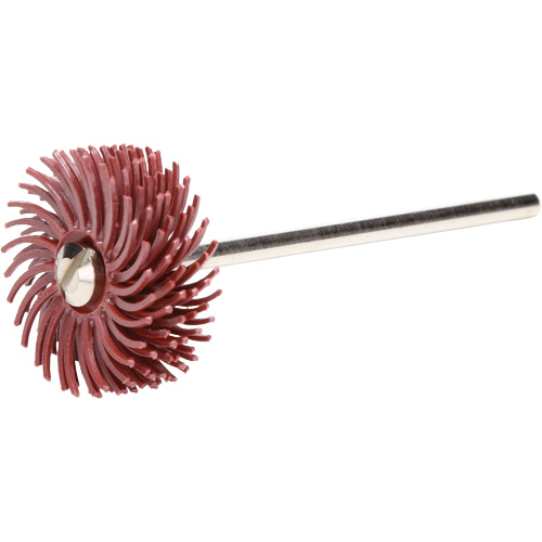 Scotch-Brite Radial Bristle Discs, P220X Grit, 3/4" Dia. Distribution Jean Lapalme