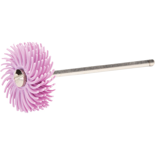 Scotch-Brite Radial Bristle Discs, Pumice Grit, 3/4" Dia. Distribution Jean Lapalme