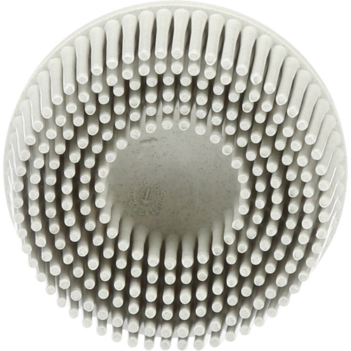 Scotch-Brite Roloc Bristle Discs, 120 Grit, 2" Dia. Distribution Jean Lapalme