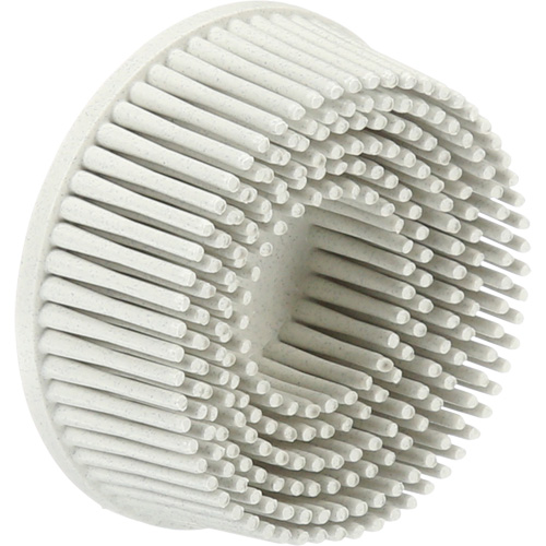 Scotch-Brite Roloc Bristle Discs, 120 Grit, 2" Dia. Distribution Jean Lapalme