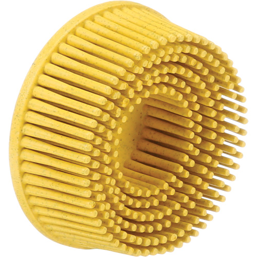 Scotch-Brite Roloc Bristle Discs, 80 Grit, 2" Dia. Distribution Jean Lapalme