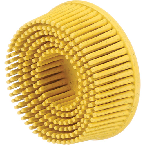 Scotch-Brite Roloc Bristle Discs, 80 Grit, 2" Dia. Distribution Jean Lapalme