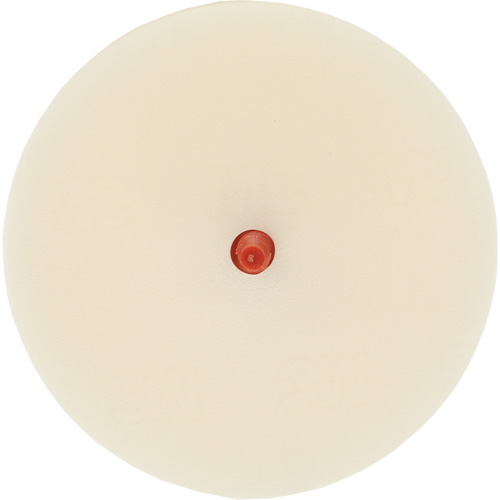 Scotch-Brite Moulding Adhesive & Stripe Removal Disc, 7501, 4" Dia. Distribution Jean Lapalme