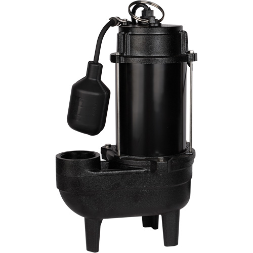 Pompe d'&eacute;gout en fonte, 120 V, 9,5 A, 6000 gal./h, 1/2 CV Distribution Jean Lapalme