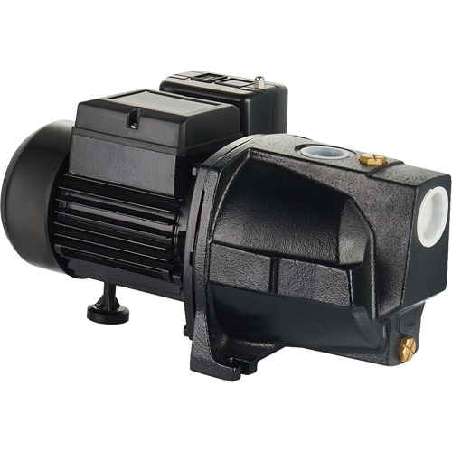 Pompe &agrave; jet en fonte &agrave; double tension pour puit peu profond, 115 V/230 V, 1100 gal./h, 1 CV Distribution Jean Lapalme