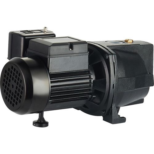 Pompe &agrave; jet en fonte &agrave; double tension pour puit peu profond, 115 V/230 V, 1100 gal./h, 1 CV Distribution Jean Lapalme