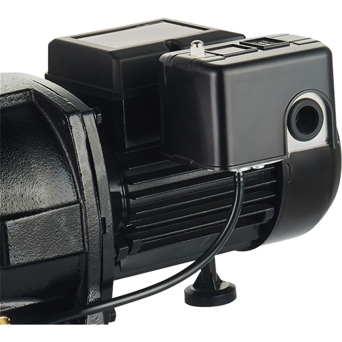 Pompe &agrave; jet en fonte &agrave; double tension pour puit peu profond, 115 V/230 V, 1100 gal./h, 1 CV Distribution Jean Lapalme