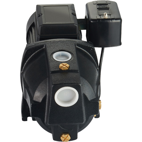 Pompe &agrave; jet en fonte &agrave; double tension pour puit peu profond, 115 V/230 V, 1100 gal./h, 1 CV Distribution Jean Lapalme