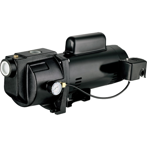 Dual Voltage Cast Iron Shallow Well Jet Pump, 115 V/230 V, 1260 GPH, 1 HP Distribution Jean Lapalme