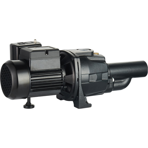 Pompe &agrave; jet en fonte &agrave; double tension transformable, 115 V/230 V, 1400 gal./h, 3/4 CV Distribution Jean Lapalme