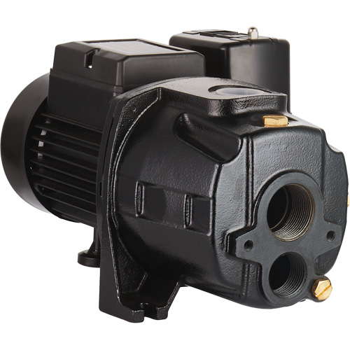Pompe &agrave; jet en fonte &agrave; double tension transformable, 115 V/230 V, 1400 gal./h, 3/4 CV Distribution Jean Lapalme