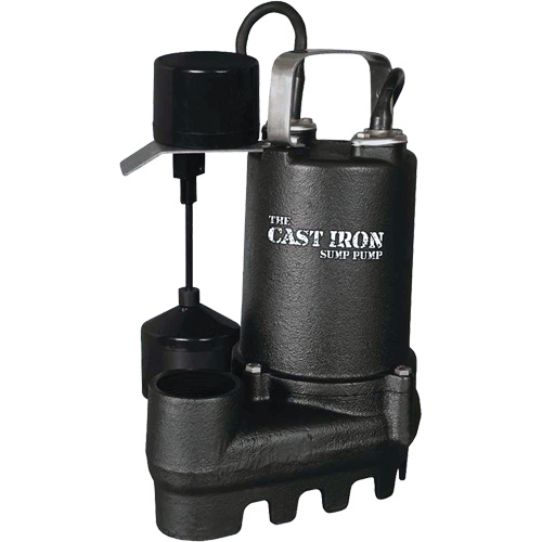 Pompe de puisard submersible en fonte avec interrupteur &agrave; flotteur vertical, 67 gal./min, 33 V, 5 A, 1/3 CV Distribution Jean Lapalme