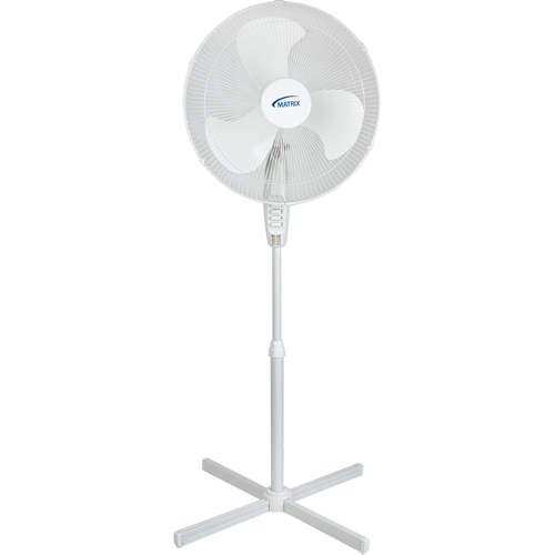 Oscillating Pedestal Fan, Commercial, 3 Speed, 18" Diameter Distribution Jean Lapalme