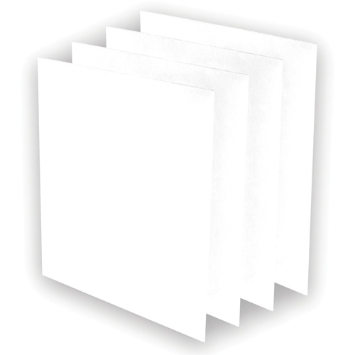AeraMax&reg; Pro AM3 or AM4 Pre-Filters, 13.75" W x 0.13" D x 14.38" H Distribution Jean Lapalme