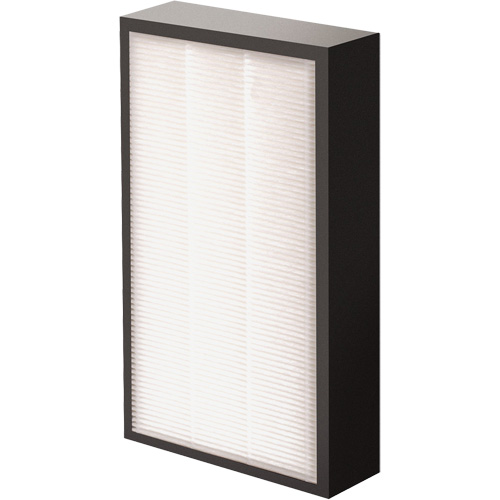 V&eacute;ritables filtre HEPA AeraMax Pro AM2 1-3/4", Boîte, 7,38" la x 1,88" p x 12,88" h Distribution Jean Lapalme