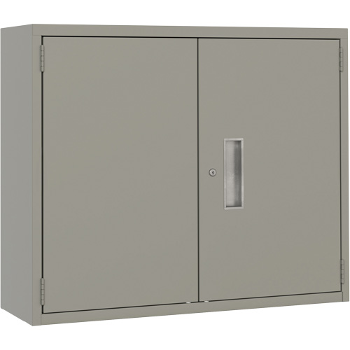 Armoire murale, Acier, 2 Tablettes, 30" h x 36" la x 12" P, Gris Distribution Jean Lapalme