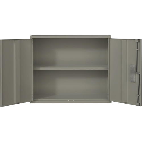 Armoire murale, Acier, 2 Tablettes, 30" h x 36" la x 12" P, Gris Distribution Jean Lapalme
