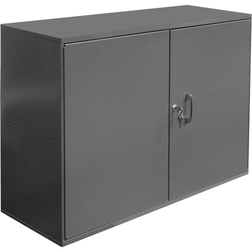 Armoire pour accessoires abrasifs, Acier, 2 tiroirs, 33-3/4" x 11-7/8" x 23-7/8", Gris Distribution Jean Lapalme