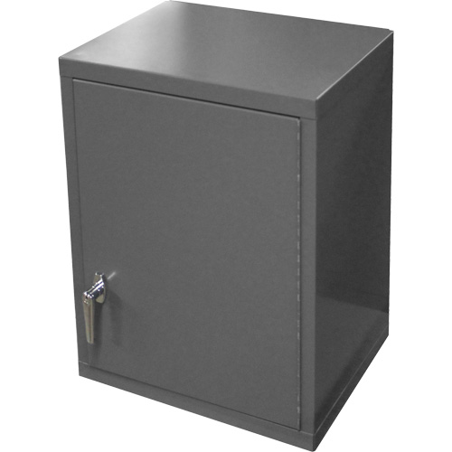 Wall-Mounted Cabinet, 27" H x 13-11/16" W x 18" D, 2 Shelves, Steel, Grey Distribution Jean Lapalme