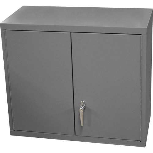 Wall-Mounted Cabinet, 27" H x 13-11/16" W x 35-7/8" D, 2 Shelves, Steel, Grey Distribution Jean Lapalme