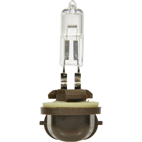 886 Basic Fog Light Bulb, Halogen, 50 W, Off White Distribution Jean Lapalme