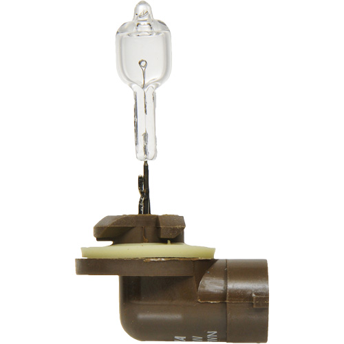 886 Basic Fog Light Bulb, Halogen, 50 W, Off White Distribution Jean Lapalme