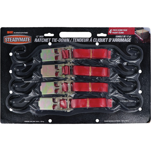 Ratchet Utility Straps, S-Hook, 1" W x 12' L, 500 lbs. (230 kg) Working Load Limit Distribution Jean Lapalme