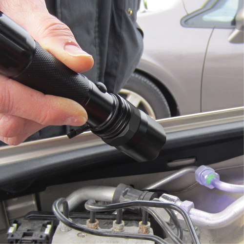 Rechargeable UV Flashlight Distribution Jean Lapalme