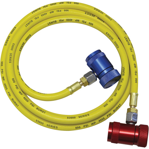 Ensemble flexible de rinçage pour syst&egrave;me de climatisation R1234yf Distribution Jean Lapalme