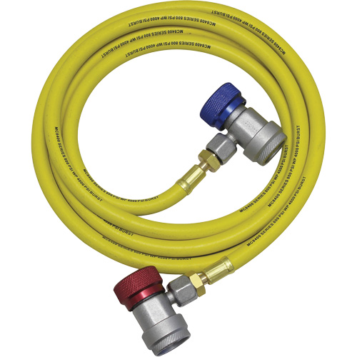 Ensemble flexible de rinçage pour syst&egrave;me de climatisation R134a Distribution Jean Lapalme