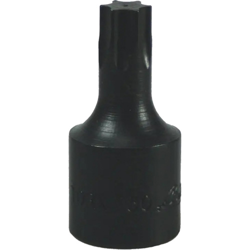 Embout Torx&reg; T-50 Distribution Jean Lapalme