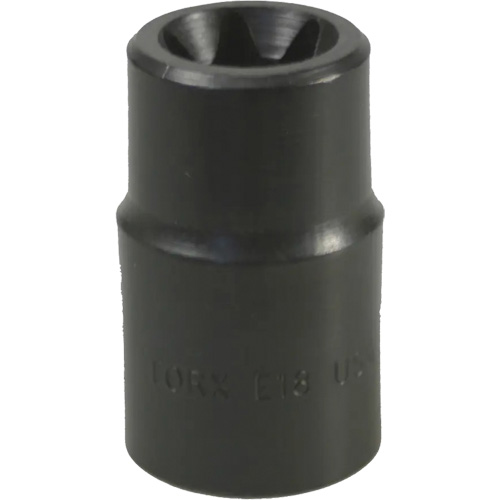 E-18 Torx&reg; Socket Distribution Jean Lapalme