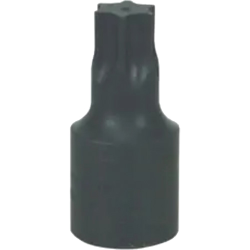 Grand embout Torx&reg; T-70 Distribution Jean Lapalme