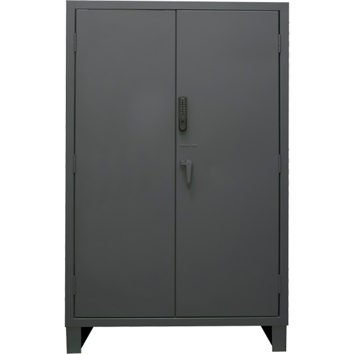 Heavy-Duty Electronic Access Cabinet Distribution Jean Lapalme