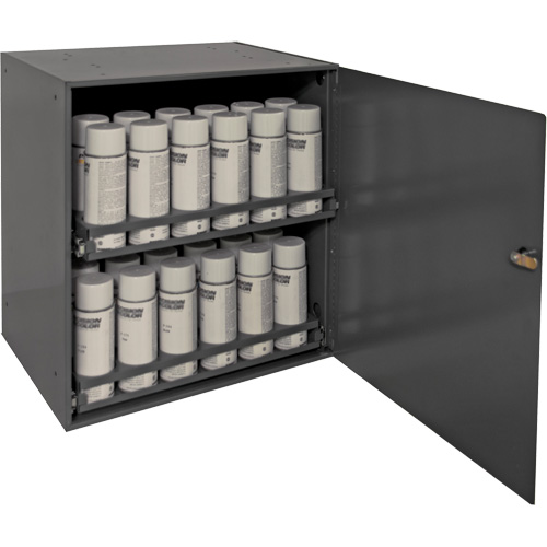 Aerosol Storage Cabinet, Steel, 21-7/8" H x 15-15/16" W x 20-5/16" D, Grey Distribution Jean Lapalme