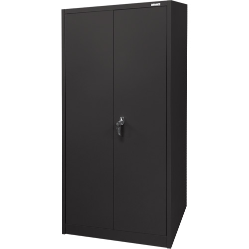 Storage Cabinet, Steel, 4 Shelves, 66" H x 30" W x 15" D, Black Distribution Jean Lapalme