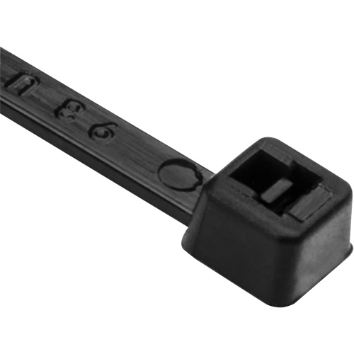 PA66 Cable Ties, 8" Long, 50 lbs. Tensile Strength, Black Distribution Jean Lapalme