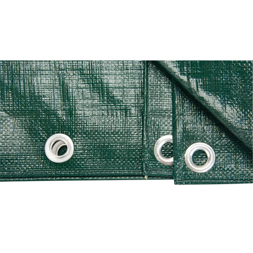Tarp, Heavy-Duty, Green, 60' x 40' x 9 mils Distribution Jean Lapalme