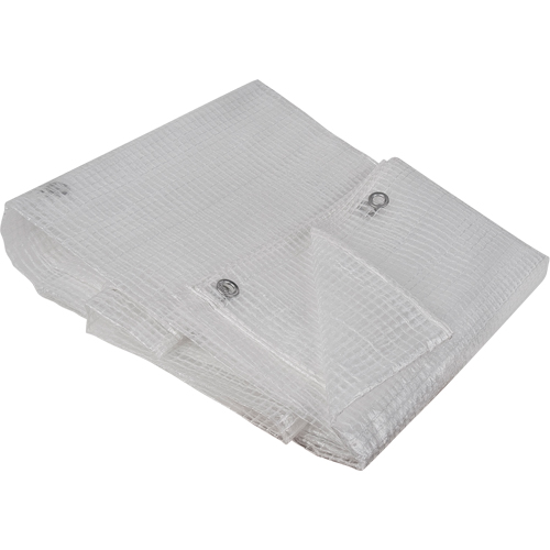Clear Tarp, 10' x 8' x 8 mils Distribution Jean Lapalme