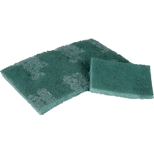 Tampon de r&eacute;curage, 3" lo x 4-1/2" la Distribution Jean Lapalme