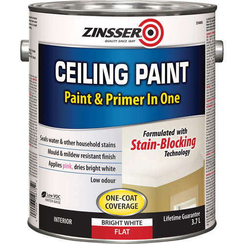 Ceiling Paint & Primer in One, White, Very Flat, 3.78 L, Gallon Distribution Jean Lapalme