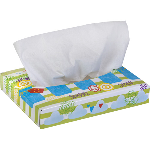 Papiers-mouchoirs pour enfants de Kleenex, 2 pli, 8,4" lo x 5,5" la, 40 feuilles/boîte Distribution Jean Lapalme