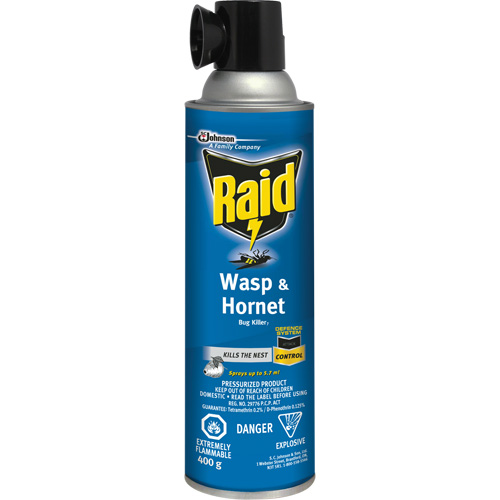 Insecticide contre les gu&ecirc;pes et les frelons Raid, 400 g, &agrave; base de solvant Distribution Jean Lapalme