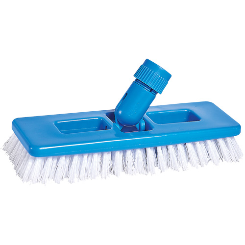 Universal Scrub & Grout Brush, 9" L, Polypropylene Bristles, White Distribution Jean Lapalme