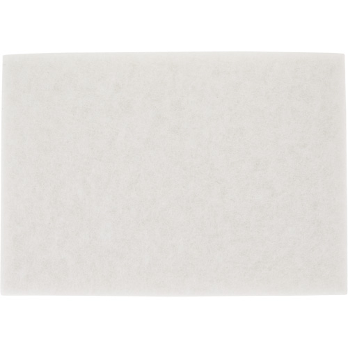Tampon pour planchers TopLine Speed, 14" x 20", Lustrage/Nettoyage/Polissage, Blanc Distribution Jean Lapalme