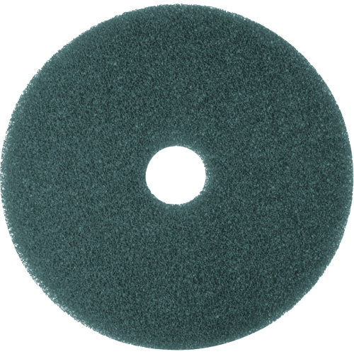 Hi-Performance Pad, 11", Cleaning/Scrubbing, Blue Distribution Jean Lapalme