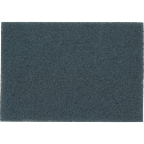 Tampon pour planchers, 14" x 20", Nettoyage/&agrave; r&eacute;curer, Bleu Distribution Jean Lapalme