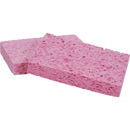 Scotch-Brite Sponge, Cellulose/Grouting/Scrubbing, 3-2/3" W x 6" L Distribution Jean Lapalme