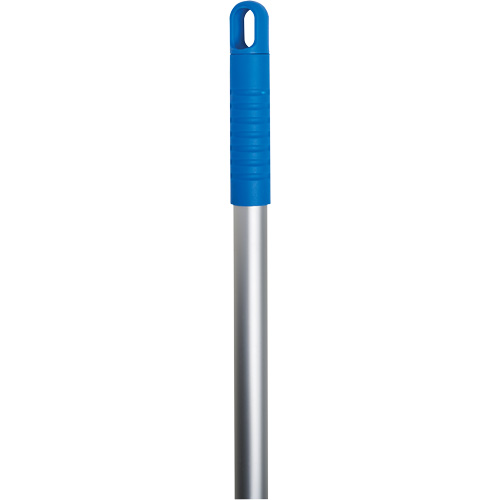 Handle, Aluminum, Quick-Connect Tip, 1" Diameter, 60" Length Distribution Jean Lapalme