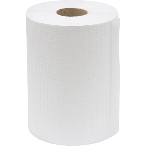 Everest Pro Paper Towel Rolls, 1 Ply, Standard, 425' L Distribution Jean Lapalme